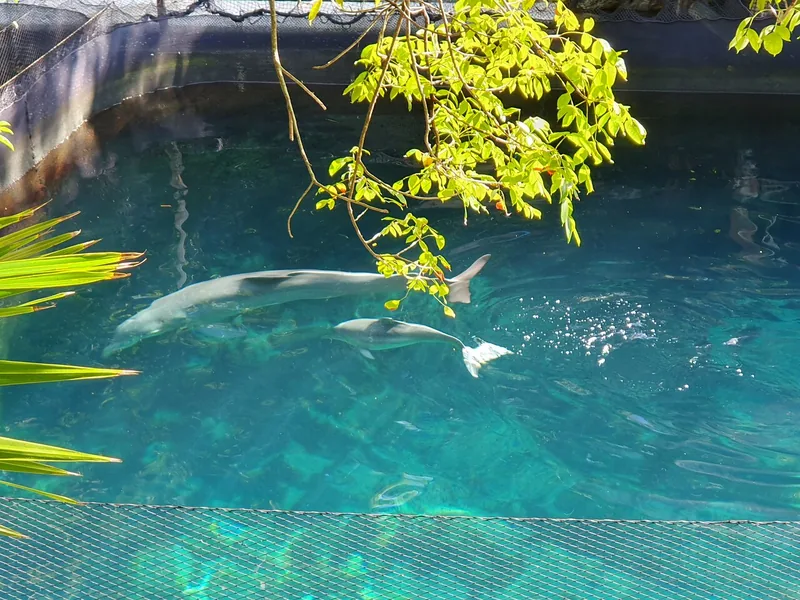 Eintrittskarte für den Xcaret Park