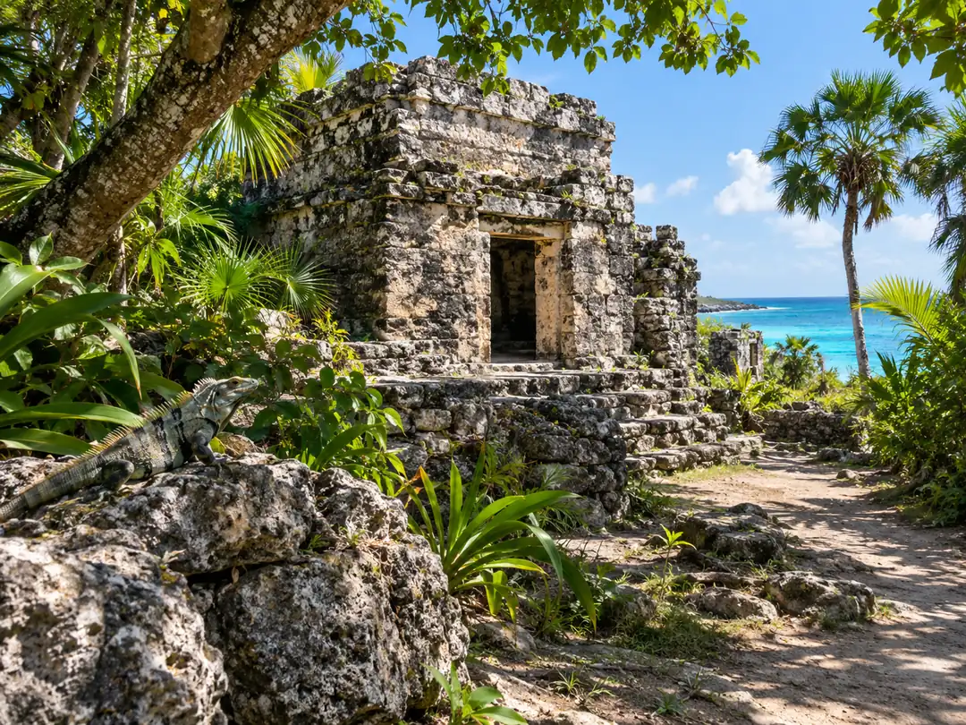 Antike Maya-Steinruinen zwischen Dschungelbäumen nahe der Karibik
